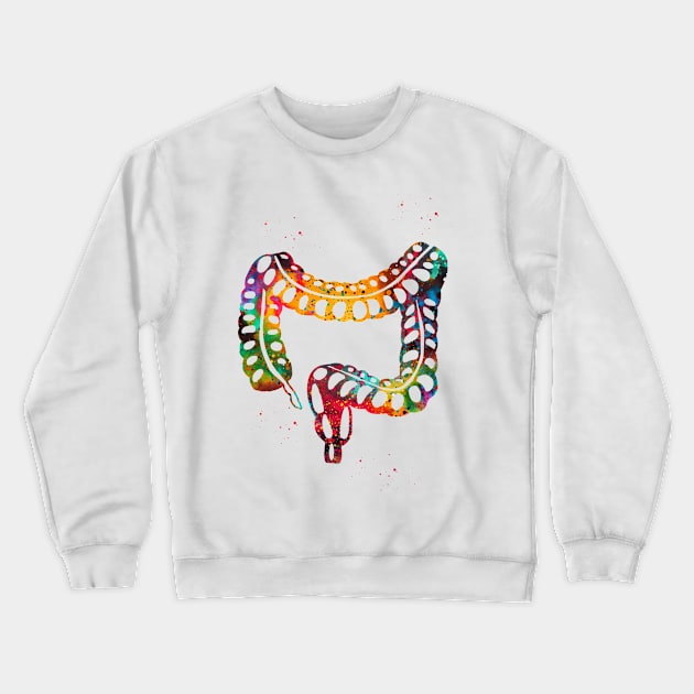 Lower gastrointestinal tract Crewneck Sweatshirt by erzebeth